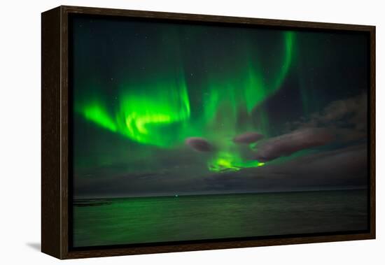 Aurora Borealis or Northern Lights, Reykjavik, Iceland-null-Framed Premier Image Canvas