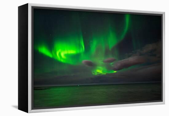 Aurora Borealis or Northern Lights, Reykjavik, Iceland-null-Framed Premier Image Canvas