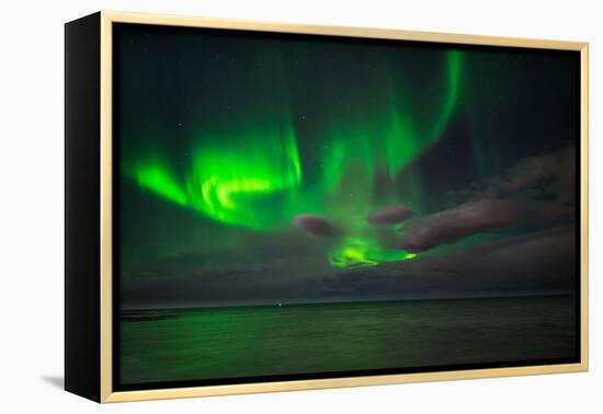 Aurora Borealis or Northern Lights, Reykjavik, Iceland-null-Framed Premier Image Canvas