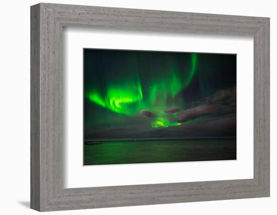 Aurora Borealis or Northern Lights, Reykjavik, Iceland-null-Framed Premium Photographic Print