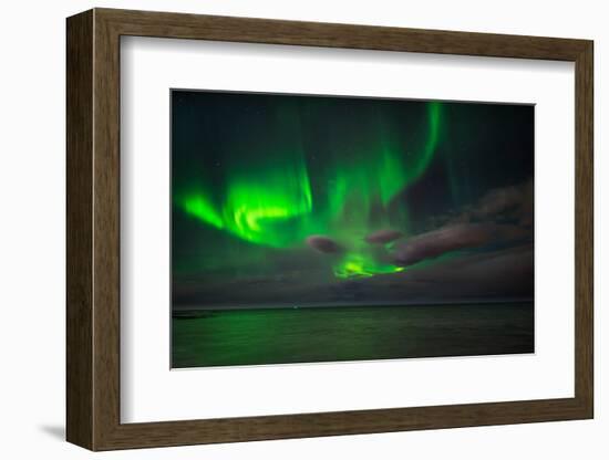 Aurora Borealis or Northern Lights, Reykjavik, Iceland-null-Framed Premium Photographic Print