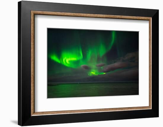 Aurora Borealis or Northern Lights, Reykjavik, Iceland-null-Framed Premium Photographic Print