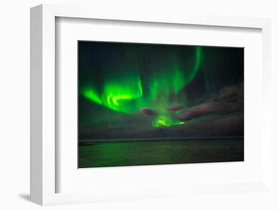 Aurora Borealis or Northern Lights, Reykjavik, Iceland-null-Framed Premium Photographic Print