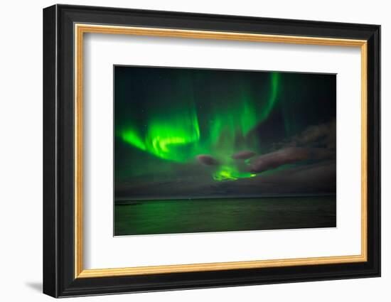 Aurora Borealis or Northern Lights, Reykjavik, Iceland-null-Framed Premium Photographic Print