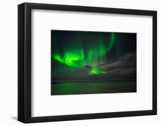 Aurora Borealis or Northern Lights, Reykjavik, Iceland-null-Framed Photographic Print