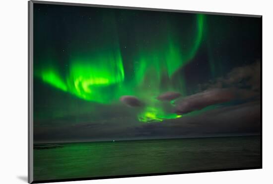 Aurora Borealis or Northern Lights, Reykjavik, Iceland-null-Mounted Photographic Print