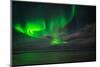 Aurora Borealis or Northern Lights, Reykjavik, Iceland-null-Mounted Photographic Print