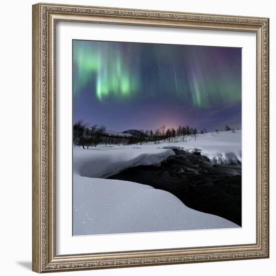 Aurora Borealis over Blafjellelva River in Troms County-Stocktrek Images-Framed Photographic Print