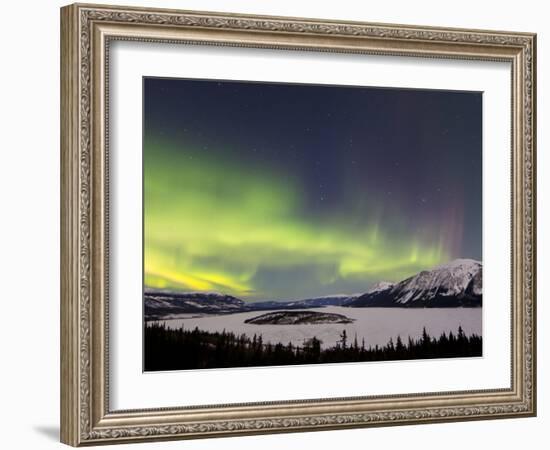 Aurora Borealis Over Bove Island, Yukon, Canada-Stocktrek Images-Framed Photographic Print