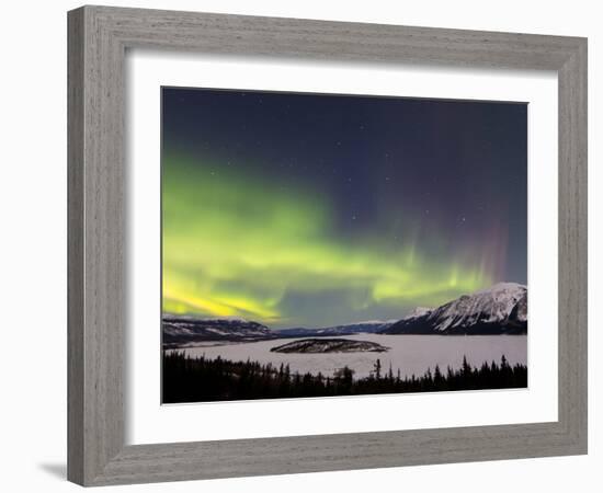 Aurora Borealis Over Bove Island, Yukon, Canada-Stocktrek Images-Framed Photographic Print