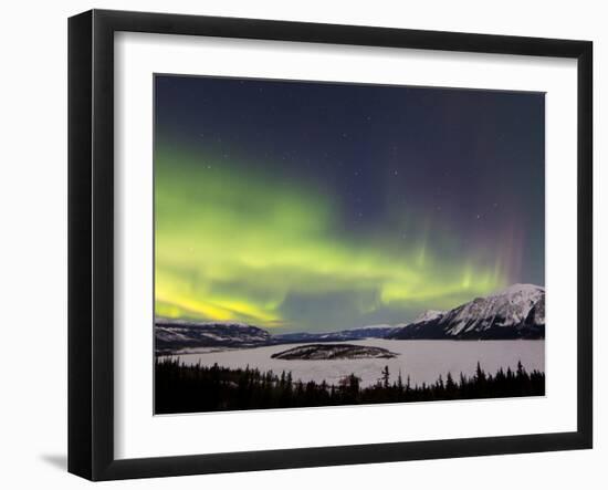 Aurora Borealis Over Bove Island, Yukon, Canada-Stocktrek Images-Framed Photographic Print