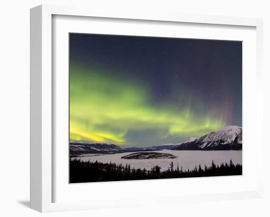 Aurora Borealis Over Bove Island, Yukon, Canada-Stocktrek Images-Framed Photographic Print