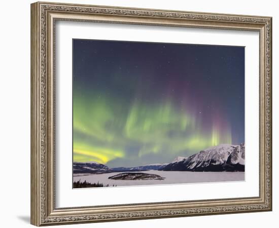 Aurora Borealis Over Bove Island, Yukon, Canada-Stocktrek Images-Framed Photographic Print