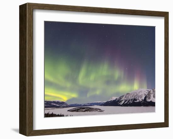 Aurora Borealis Over Bove Island, Yukon, Canada-Stocktrek Images-Framed Photographic Print