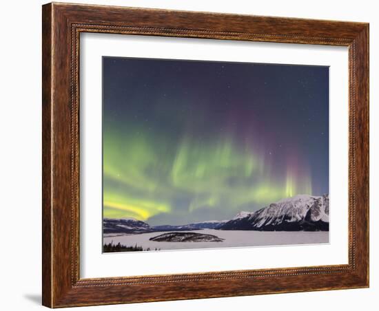 Aurora Borealis Over Bove Island, Yukon, Canada-Stocktrek Images-Framed Photographic Print