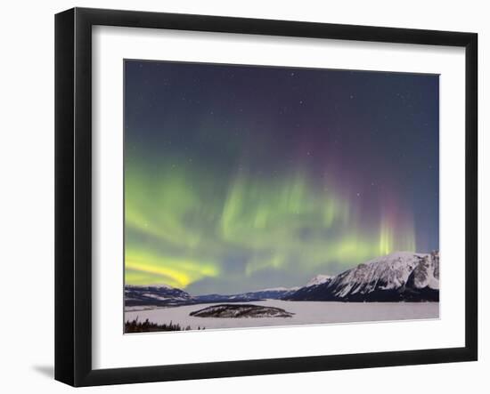 Aurora Borealis Over Bove Island, Yukon, Canada-Stocktrek Images-Framed Photographic Print