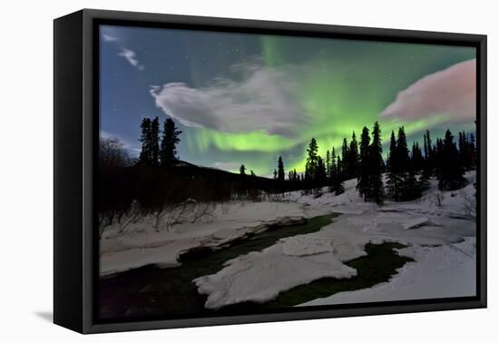 Aurora Borealis over Creek, Yukon, Canada-null-Framed Premier Image Canvas