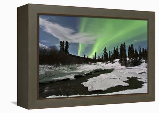 Aurora Borealis over Creek, Yukon, Canada-null-Framed Premier Image Canvas