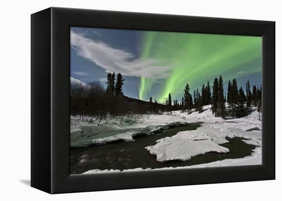 Aurora Borealis over Creek, Yukon, Canada-null-Framed Premier Image Canvas