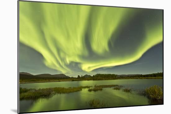 Aurora Borealis over Fish Lake, Yukon, Canada-null-Mounted Photographic Print