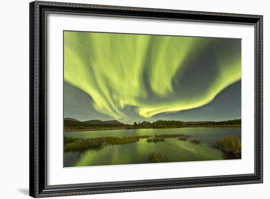 Aurora Borealis over Fish Lake, Yukon, Canada-null-Framed Photographic Print