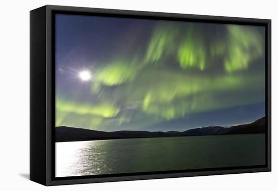 Aurora Borealis over Fish Lake, Yukon, Canada-null-Framed Premier Image Canvas