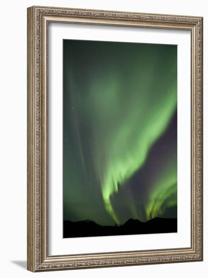 Aurora Borealis over Mountain, Fish Lake, Yukon, Canada-null-Framed Photographic Print