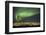 Aurora Borealis over Reykjavik-Arctic-Images-Framed Photographic Print