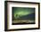 Aurora Borealis over Reykjavik-Arctic-Images-Framed Photographic Print