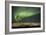Aurora Borealis over Reykjavik-Arctic-Images-Framed Photographic Print