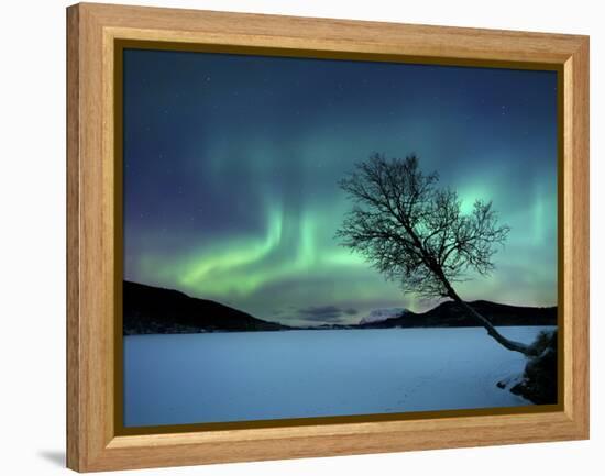 Aurora Borealis over Sandvannet Lake in Troms County, Norway-Stocktrek Images-Framed Premier Image Canvas