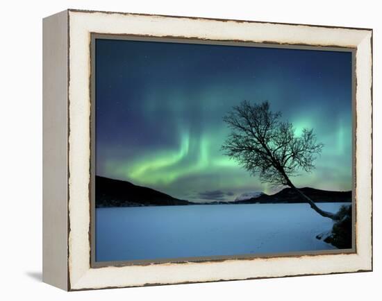 Aurora Borealis over Sandvannet Lake in Troms County, Norway-Stocktrek Images-Framed Premier Image Canvas