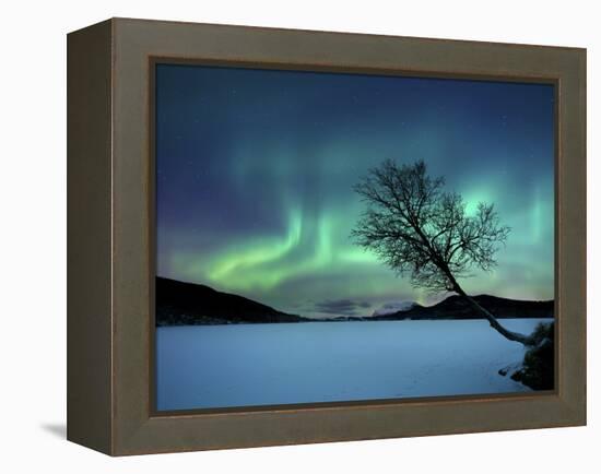 Aurora Borealis over Sandvannet Lake in Troms County, Norway-Stocktrek Images-Framed Premier Image Canvas