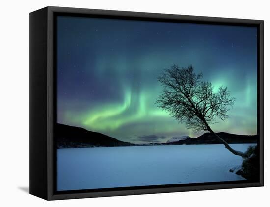 Aurora Borealis over Sandvannet Lake in Troms County, Norway-Stocktrek Images-Framed Premier Image Canvas