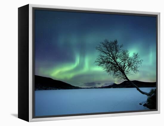 Aurora Borealis over Sandvannet Lake in Troms County, Norway-Stocktrek Images-Framed Premier Image Canvas