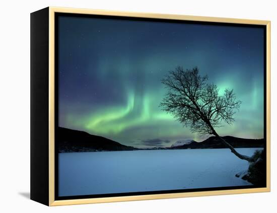 Aurora Borealis over Sandvannet Lake in Troms County, Norway-Stocktrek Images-Framed Premier Image Canvas