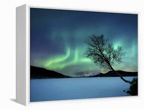 Aurora Borealis over Sandvannet Lake in Troms County, Norway-Stocktrek Images-Framed Premier Image Canvas