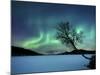 Aurora Borealis over Sandvannet Lake in Troms County, Norway-Stocktrek Images-Mounted Premium Photographic Print