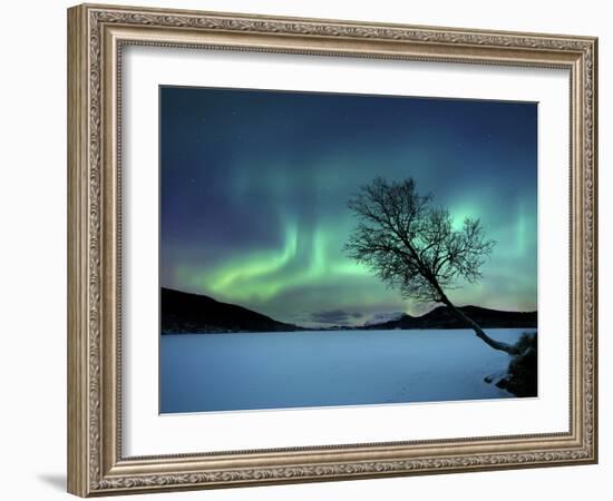 Aurora Borealis over Sandvannet Lake in Troms County, Norway-Stocktrek Images-Framed Photographic Print