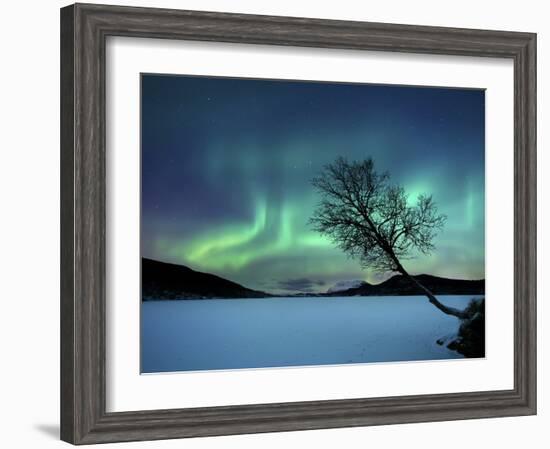 Aurora Borealis over Sandvannet Lake in Troms County, Norway-Stocktrek Images-Framed Photographic Print