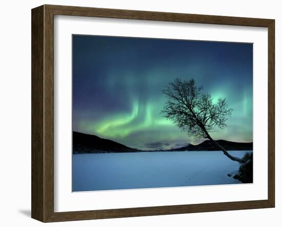 Aurora Borealis over Sandvannet Lake in Troms County, Norway-Stocktrek Images-Framed Photographic Print