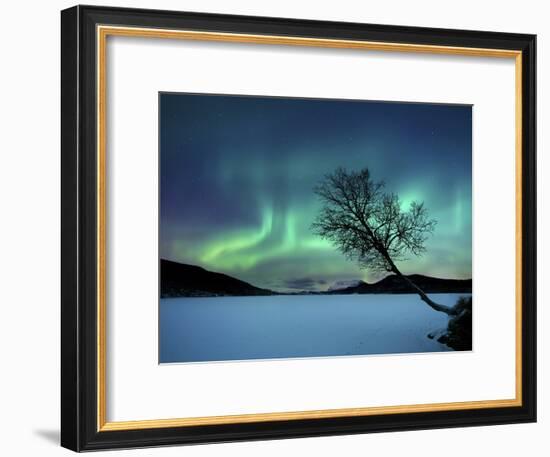 Aurora Borealis over Sandvannet Lake in Troms County, Norway-Stocktrek Images-Framed Photographic Print