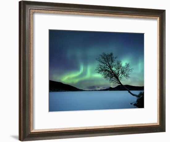 Aurora Borealis over Sandvannet Lake in Troms County, Norway-Stocktrek Images-Framed Photographic Print