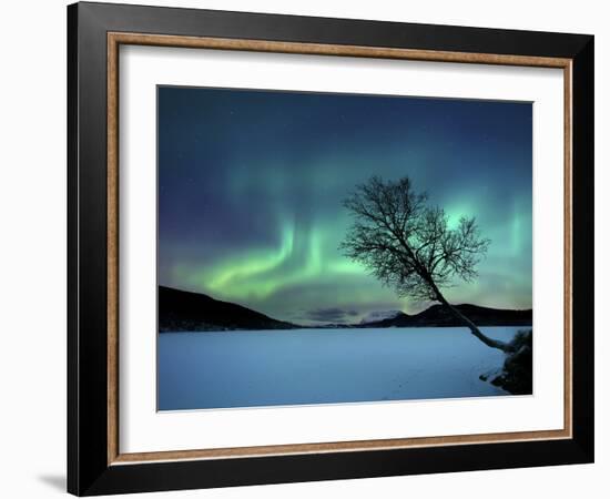 Aurora Borealis over Sandvannet Lake in Troms County, Norway-Stocktrek Images-Framed Photographic Print