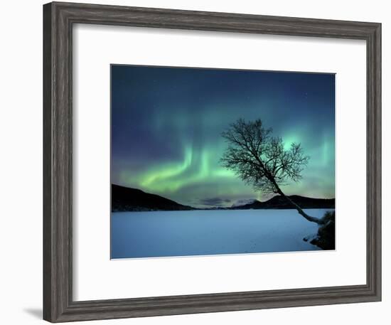 Aurora Borealis over Sandvannet Lake in Troms County, Norway-Stocktrek Images-Framed Photographic Print