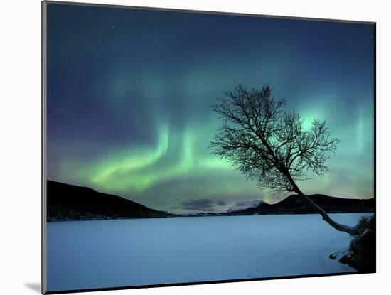 Aurora Borealis over Sandvannet Lake in Troms County, Norway-Stocktrek Images-Mounted Photographic Print