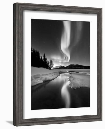 Aurora Borealis Over Sandvannet Lake in Troms County, Norway-Stocktrek Images-Framed Photographic Print