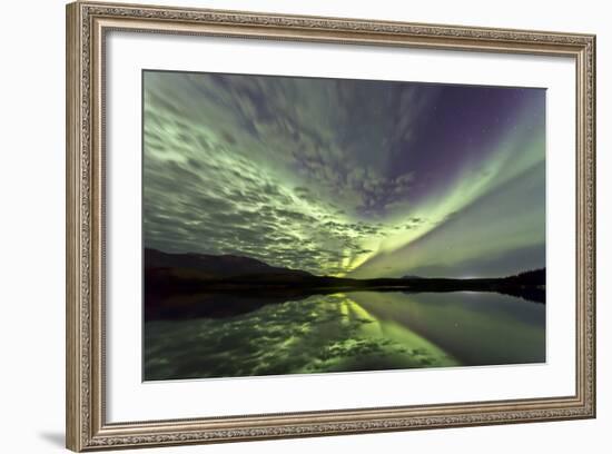 Aurora Borealis over Schwatka Lake, Yukon, Canada-null-Framed Photographic Print