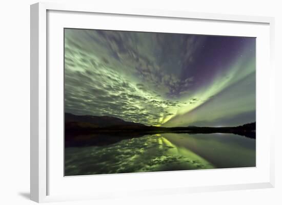 Aurora Borealis over Schwatka Lake, Yukon, Canada-null-Framed Photographic Print