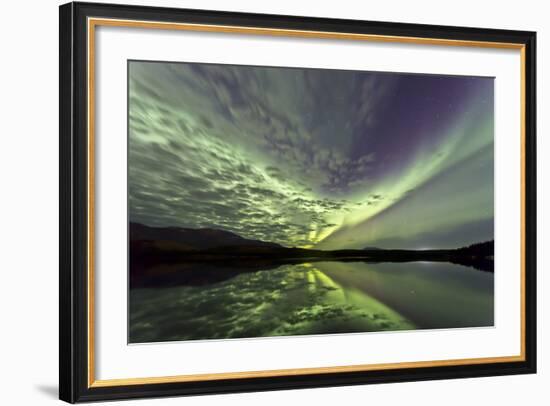 Aurora Borealis over Schwatka Lake, Yukon, Canada-null-Framed Photographic Print